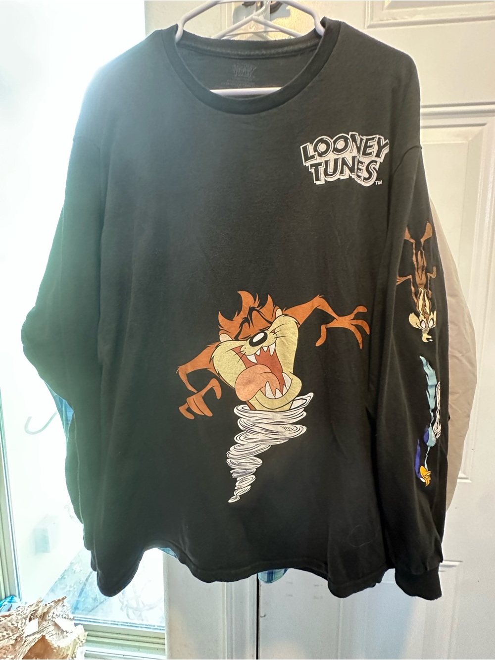 Warner Bros. Black Looney Tunes Taz Crewneck Sweater with Sleeve Art